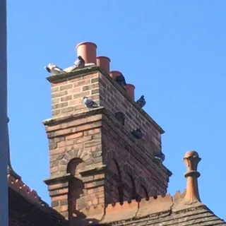 Tall period chimney stack with pots after chimney work in Lincolnshire