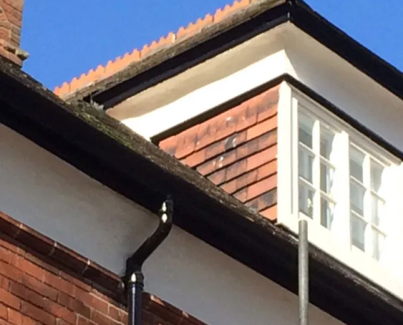 Roofing Lincoln for over 20 years